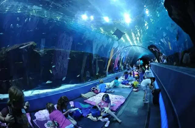 दुनिया के 5 सबसे बड़े और खूबसूरत Aquariums 