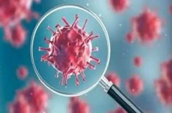 Sikar में 79 नए कोरोना संक्रमित, पुलिसकर्मी और स्वास्थ्यकर्मी भी हुए संक्रमित           