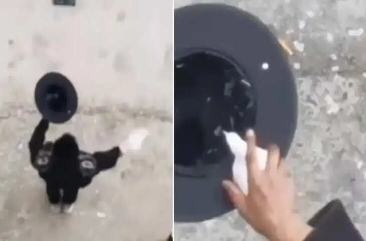 टोपी से कबूतर निकालने के लिए कैसे दिमाग लगाता है जादूगर, इस Video को देखकर समझ जाएंगे ट्रिक