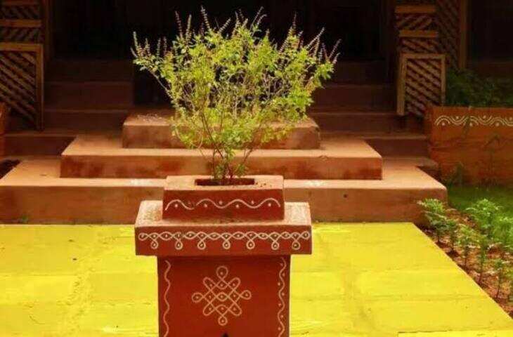 तुलसी के पास भूलकर भी न रखें ये चीजें, वास्तु के अनुसार घर की सुख-समृद्धि पर पड़ सकता है असर
