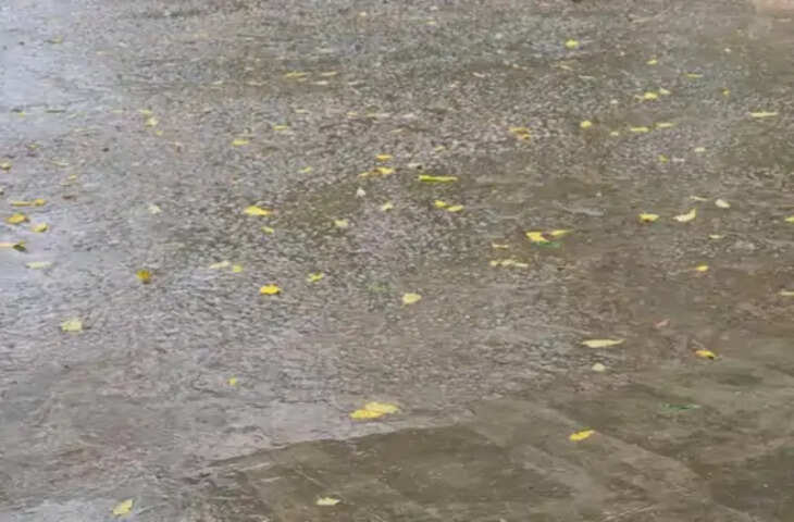मुरैना में मेहरबान हुआ मानसून: अब तक 219.7 मिमी औसत वर्षा दर्ज, रिमझिम बारिश से किसानों के चेहरे खिले