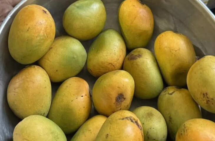 बॉस ने लंदन से भेजे आम, महिला की कहानी सोशल मीडिया पर चर्चा में