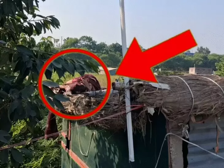 बेगूसराय में थार और बाइक की भीषण टक्कर, एक ही परिवार के 3 लोगों की मौत; हादसे से मचा कोहराम