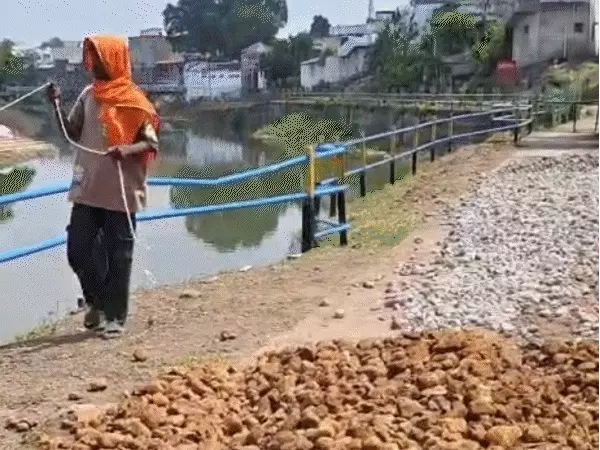गोटमार मेले की पत्थरबाजी में पति की मौत: 20 साल बाद भी नहीं भुला दर्द, बोलीं- परिवार बिखर गया, मजदूरी करनी पड़ी