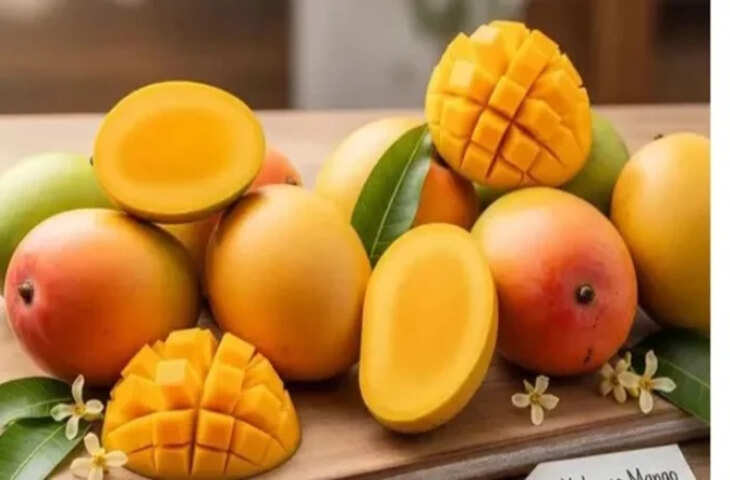 Top Mango Export Demand: भारत के आमों ने जीता दुनिया का दिल,&nbsp;लंदन से सऊदी तक बढ़ी भारी डिमांड​​​​​​​