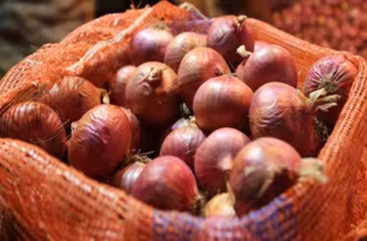 Onion Price Control का सरकारी Formula जानिए कब और कैसे बाजार में आता है सस्ता प्याज