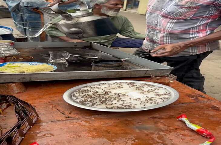 इस वायरल वीडियो को देखने के बाद कभी नहीं पियेंगे चाय, वीडियो देख यूजर्स बोले - 'ये मसाला चाय है या मक्खी चाय'
