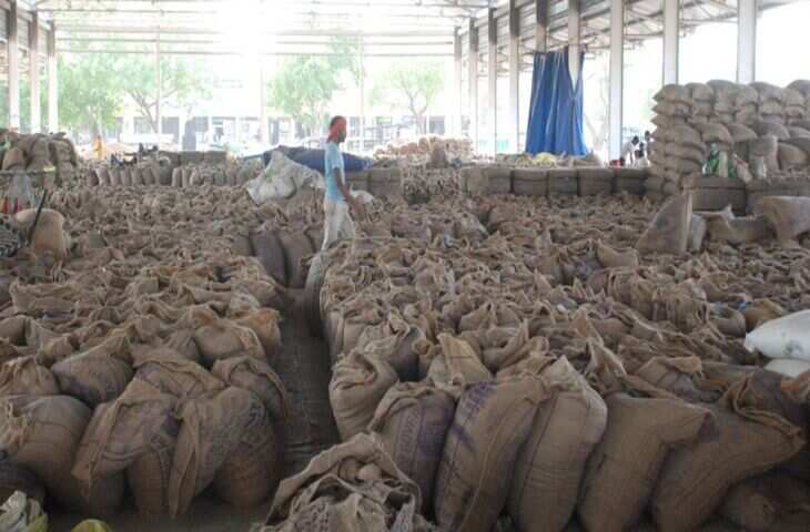 करनाल के एसडीएम को निर्देश, अनाज मंडियों में जाकर बोरियों का वजन जांचें