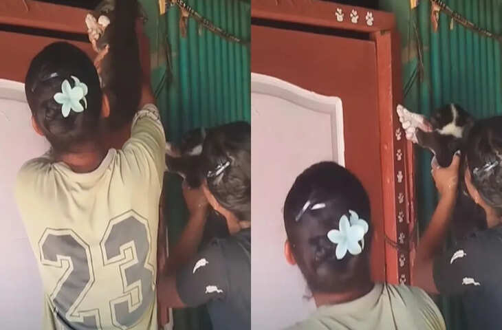 कुत्ते का ऐसा इस्तेमाल आपने आज से पहले कभी नहीं देखा होगा, वीडियो देख लोग बोले - 'कितने तेजस्वी लोग है हमारे पास...'