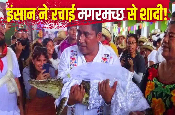 मेयर ने मगरमच्छ से रचाई शादी! मेक्सिको की अनोखी परंपरा का वीडियो सोशल मीडिया पर वायरल