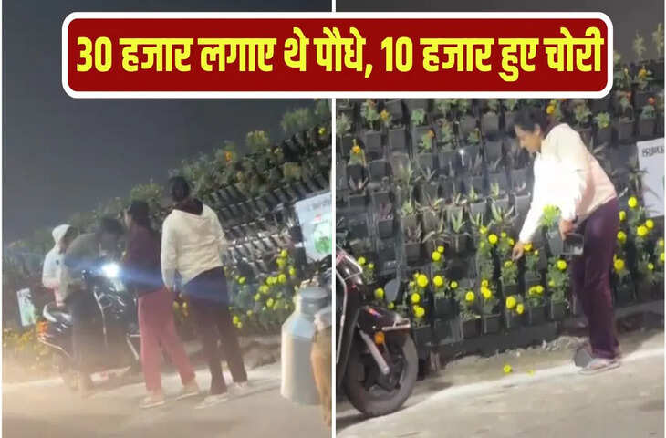 लखनऊ में प्रधानमंत्री के कार्यक्रम के बाद गमला चोरी का वीडियो वायरल, गाड़ियों से आए और उठाकर ले गए लोग