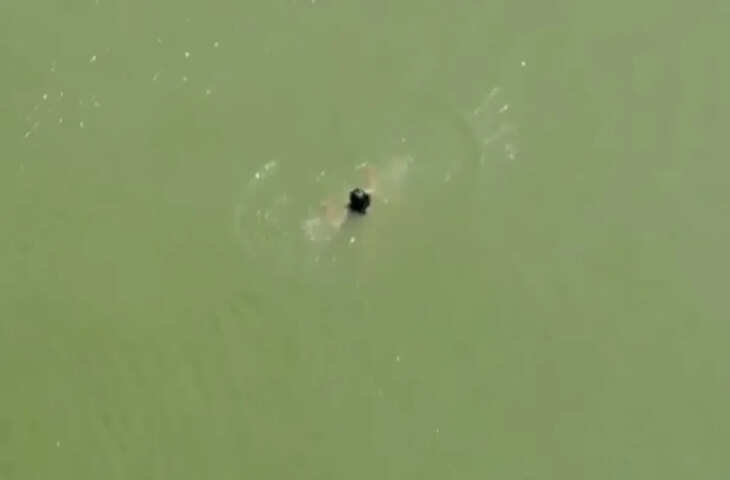 प्रेम विवाद में युवती ने सरयू नदी में छलांग लगाकर आत्मघाती कदम उठाया