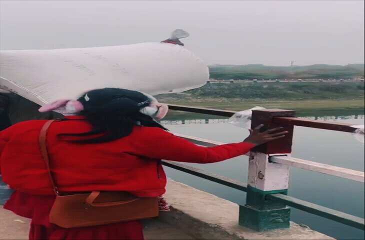 Viral Video: देखते ही देखते मछलियों ने चट कर दी पूरी बोरी का चारा, नजारा देख उड़ जाएंगे होश