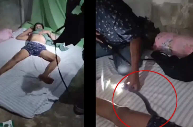 रात को सो रहा था शख्स, तभी निक्कर में घुस गया खतरनाक सांप, फिर ऐसे निकाला बाहर