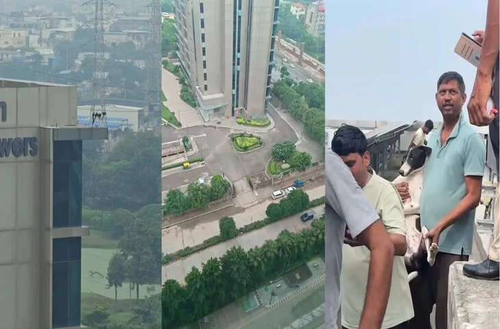 &lsquo;डोगेश भाई, दोबारा ऐसा मत करना&hellip;&rsquo; 12वीं मंजिल पर फंसा कुत्ता, रेस्क्यू का वीडियो वायरल