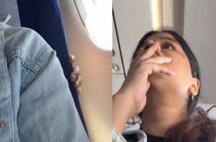 ऊदबिलाव के बच्चों की प्यारी हरकतें वायरल, केयरटेकर की मदद करते वीडियो ने जीता दिल