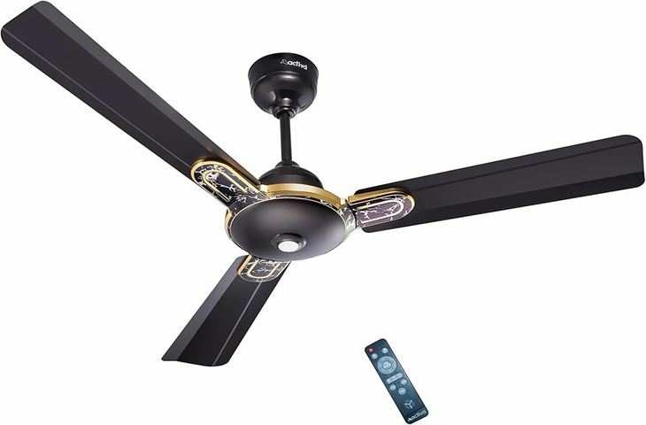 It's true! BLDC Ceiling Fan, Amazon