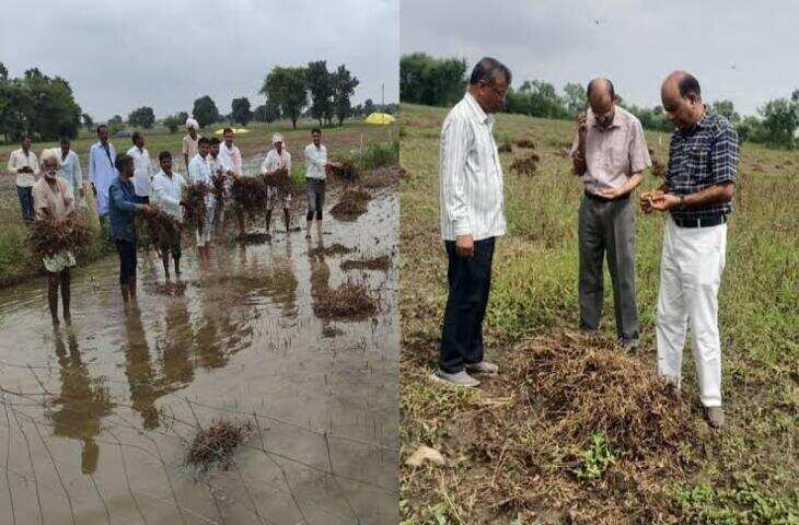 राजगढ़ में खराब सोयाबीन के सर्वे और मुआवजे की मांग, कांग्रेस ने कलेक्ट्रेट पर दिया धरना