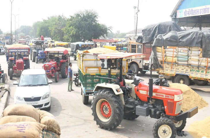 भामाशाह मंडी में कृषि उपज की आवक: उड़द में उछाल, गेहूं और सोयाबीन में मंदी