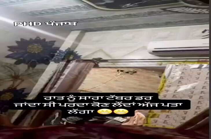 चूहे का सुपरनेचुरल कारनामा बड़े तांत्रिक भी हार मान गए, वीडियो में कारनामा देख उड़े लोगों के होश&nbsp;