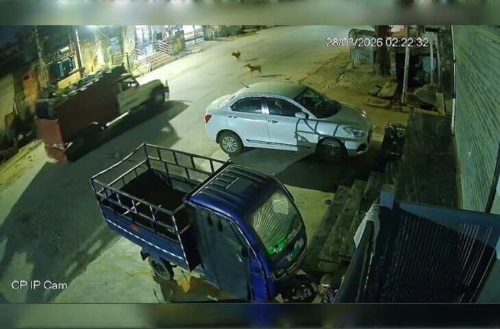 गौ-तस्करों की बड़ी वारदात, 3 मिनट में घर के बाहर बंधी गाय को पिकअप में ले गए, CCTV में कैद घटना से हड़कंप