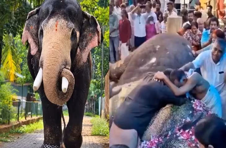 मंदिर के हाथी की मौत होने पर लिपटकर रोए गांव वाले, अंतिम विदाई का वीडियो देखकर हो जाएंगे भावुक