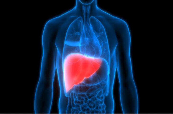 Fatty Liver Symptoms: पुरुषों में दिख सकते हैं फैटी लिवर के ये 5 संकेत, नजरअंदाज करना पड़ सकता है भारी