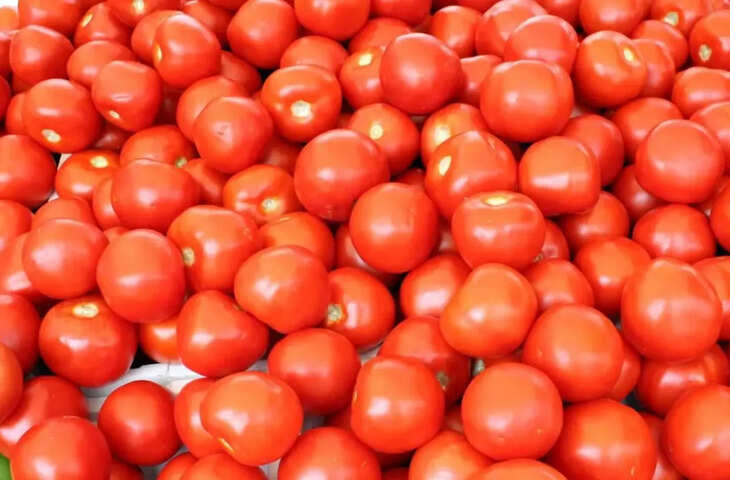 जयपुर की मुहाना सब्जी मंडी में भाव स्थिर, टमाटर समेत कई सब्जियों के दामों में मामूली उतार-चढ़ाव