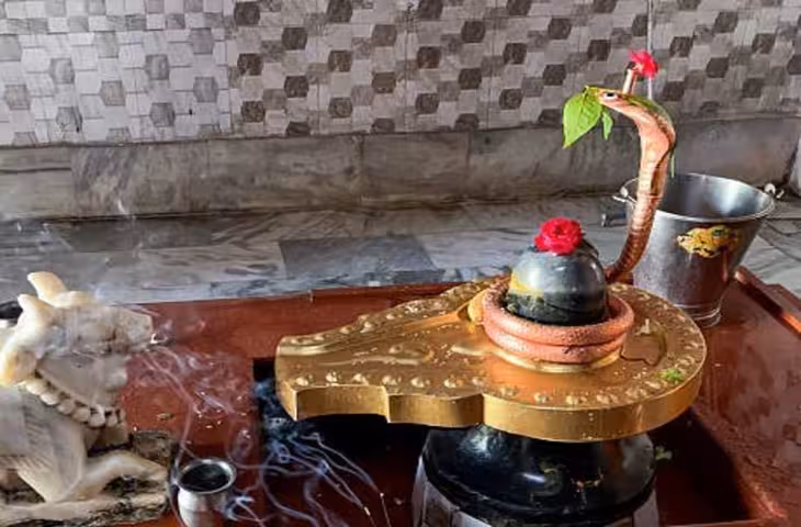 Nag Panchami 2026 Date: सावन में कब मनाई जाएगी नाग पंचमी? जानें पूजा का शुभ मुहूर्त और महत्व