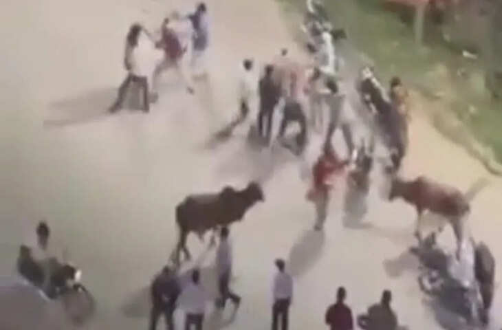 ग्रेटर नोएडा में डिलीवरी ऑर्डर को लेकर भिड़े राइडर, युवक को दौड़ा-दौड़ाकर पीटा, वीडियो वायरल