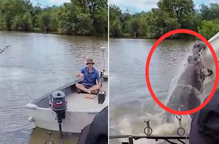नदी में बोटिंग कर रहा था युवकअचानक टूट पड़ा विशालकाय हिप्पो, वीडियो देख खड़े हो जाएंगे रौंगटे&nbsp;