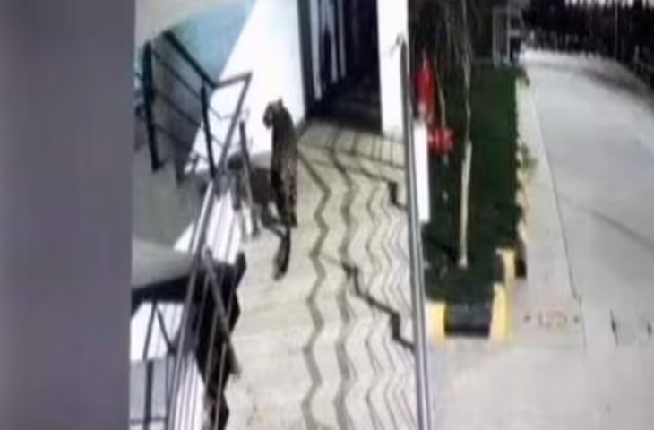 मॉल के अंदर दौड़ता तेंदुआ, वायरल वीडियो ने लोगों को किया हैरान, सोशल मीडिया पर मचा हड़कंप