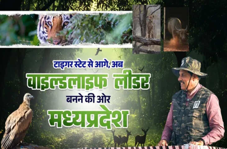 मध्य प्रदेश में वन्यजीव संरक्षण को नई दिशा, कई परियोजनाओं से राज्य बना प्रमुख केंद्र