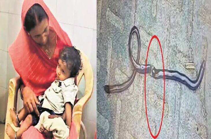 मौत भी हार गई! सांप के काटने से मरे लड़के के 12 साल बाद लौटने का दावा, बिहार की घटना ने चौंकाया