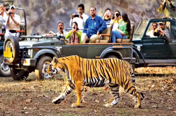 जिम कॉर्बेट नेशनल पार्क: फुटेज में जानें उम्रदराज नर बाघ &lsquo;विक्रम&rsquo; का निधन, वन्यजीव जगत में छोड़ी गहरी छाप