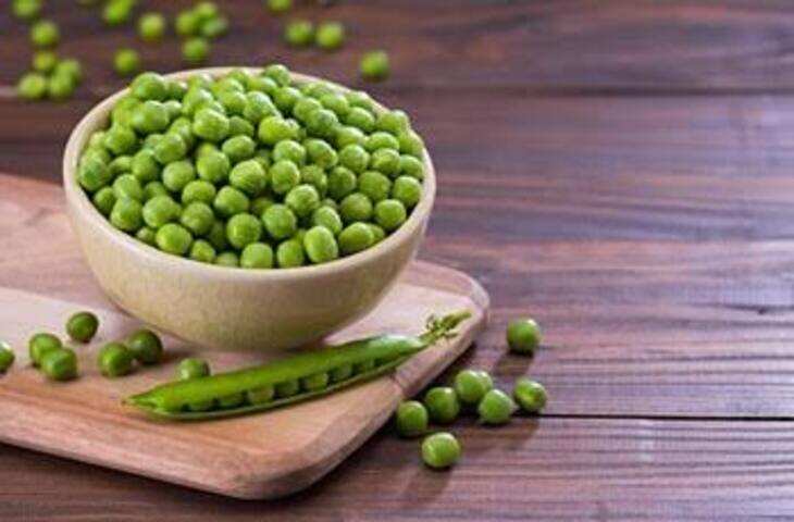 Farmer Tips: बीज खरीदते समय न करें गलती, पैकेट की इन 5 चीजों को देखकर ही करें खरीदारी