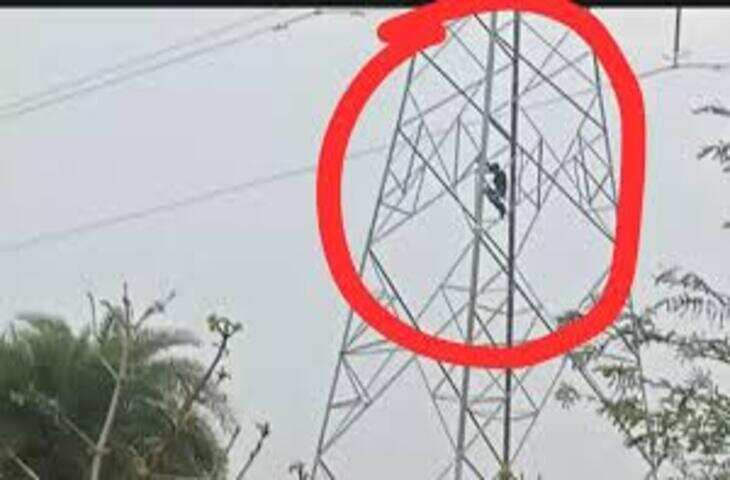 बेटे की Amazon नौकरी का ऑफर लेटर पढ़कर भावुक हुए पिता, वीडियो ने छुआ दिल