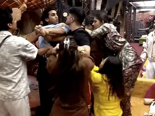 Bigg Boss 20: नकुल ढुल और गुल्लू के बीच हाथापाई, माही विज ने लगाई आवाज; एल्विश यादव ने नियमों पर उठाए सवाल
