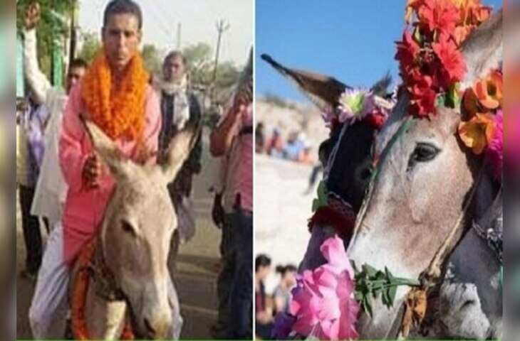 बीड जिले के विदा गांव में 90 वर्षों से होली पर अनोखी दामाद परंपरा