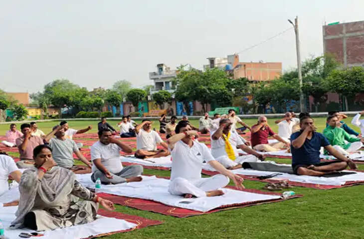 कौशांबी में योग सप्ताह का शुभारंभ, कलेक्ट्रेट में हुआ सामूहिक योगाभ्यास