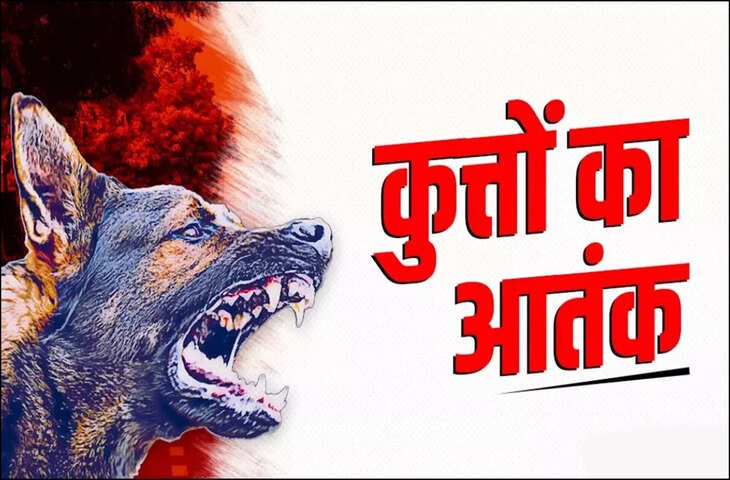 राजधानी के माना क्षेत्र में पागल कुत्ते का आतंक, 12 से अधिक लोग घायल