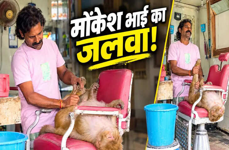 बंदर ने सैलून में कराई मजेदार बॉडी मसाज, वायरल हुआ &lsquo;मोंकेश भाई&rsquo; का क्यूट अंदाज; देखें वीडियो