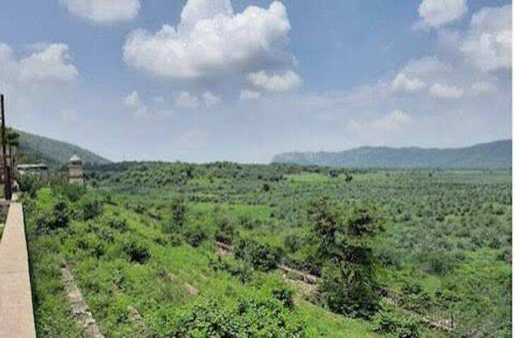 राजस्थान के इस बांध की प्यास 9 नदियां भी नहीं बुझा सकती,वीडियो में देखें कैसे ?