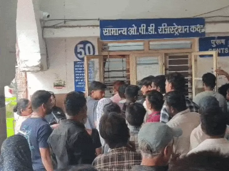 जबलपुर में डेंगू, चिकनगुनिया और मलेरिया का बढ़ा खतरा, दो दिन में मिले 8 नए मरीज; स्वास्थ्य विभाग अलर्ट