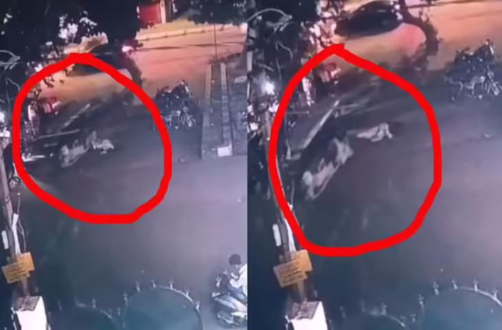 छेड़छाड़ से बचने के लिए ई-रिक्शा से कूदी युवती, वीडियो आया सामने; चार आरोपी भेजे गए जेल