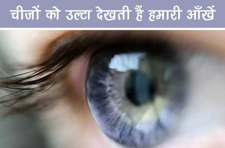 क्या आप जानते है दुनिया को उल्टा देखती है हमारी फिर दिमाग दिखाता है सीधी तस्वीर, यहाँ पढ़े नजरों का विज्ञान&nbsp;