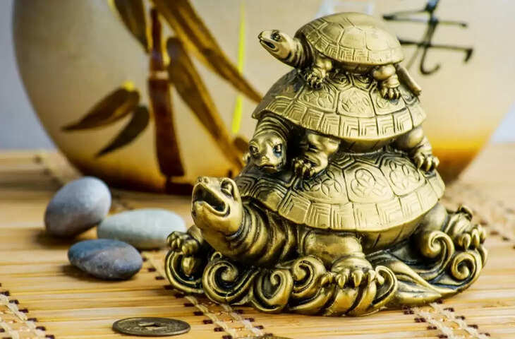 best vastu tips for crystal tortoise