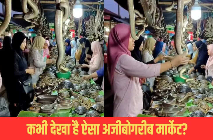 सांपों का बाजार&hellip;कहां है ये अजीबोगरीब मार्केट? वीडियो देखते ही डर से कांपने लगेंगे आप