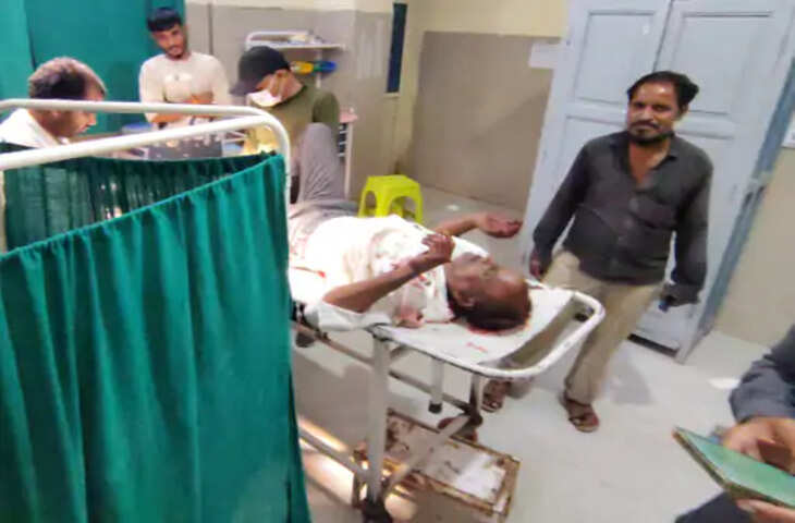 शाजापुर में जंगली सूअर से टकराई बाइक, सड़क पर गिरा 50 वर्षीय सवार; गंभीर हालत में अस्पताल में भर्ती