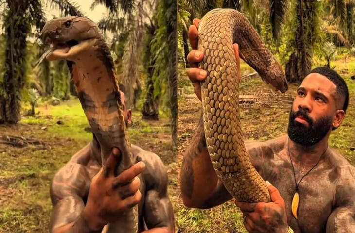 VIDEO VIRAL: किंग कोबरा के साथ खेल रहा था युवक, अचानक सांप का ऐसा रिएक्शन कि देखने वालों की सांसें अटक गईं​​​​​​​